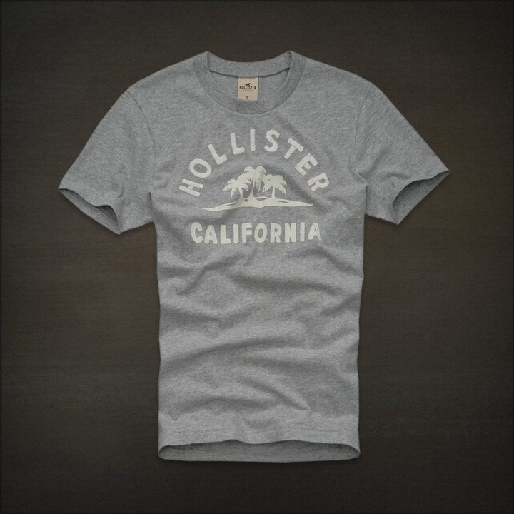 T-shirt Hollister Homme en Gris